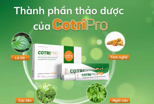 TS. BS Võ Hồng Minh Công chia sẻ cách chữa trĩ tại nhà hiệu quả